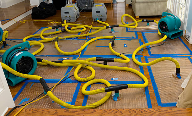 Professional Emergency Water Removal technician working in Union City, MI