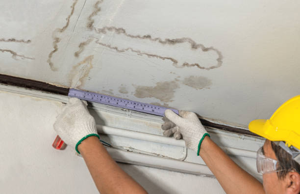Affordable Water Damage Repair solutions in Union City, MI